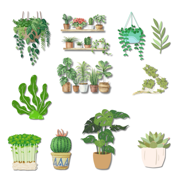 Bộ Sticker PLANTS - Image 2