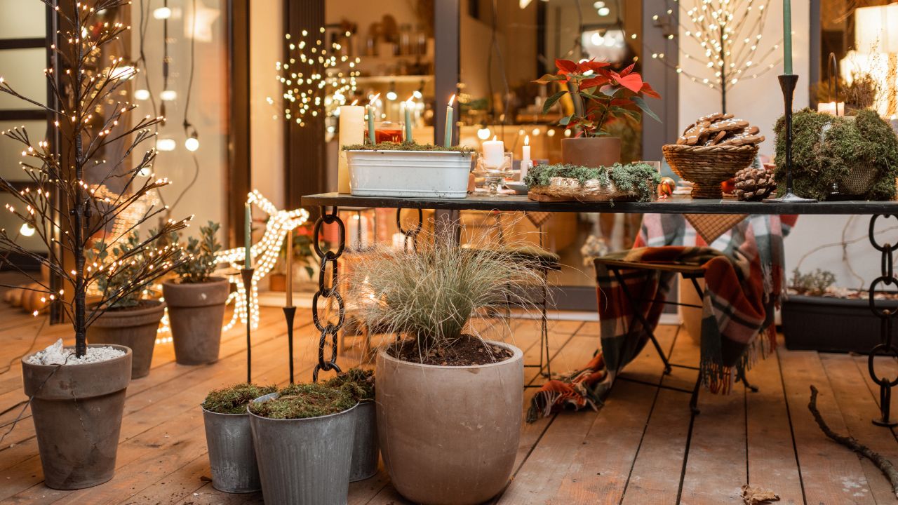 Trang trí Noel sân vườn